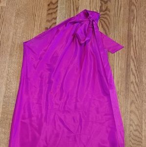 Banana Republic Fuscia Silk Dress